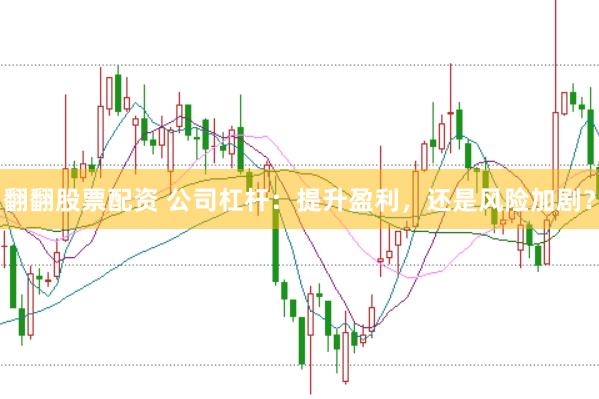 翻翻股票配资 公司杠杆：提升盈利，还是风险加剧？