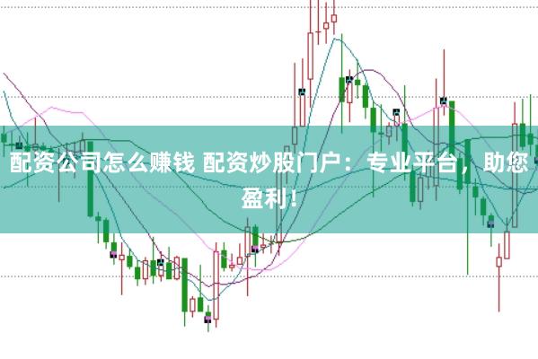 配资公司怎么赚钱 配资炒股门户：专业平台，助您盈利！