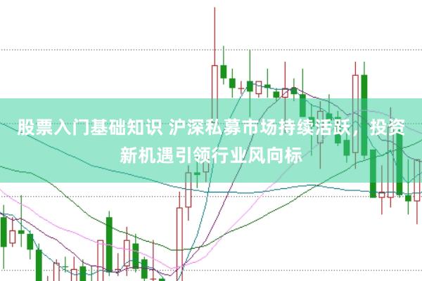 股票入门基础知识 沪深私募市场持续活跃，投资新机遇引领行业风向标