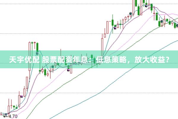 天宇优配 股票配资年息：低息策略，放大收益？