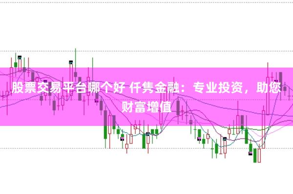 股票交易平台哪个好 仟隽金融：专业投资，助您财富增值