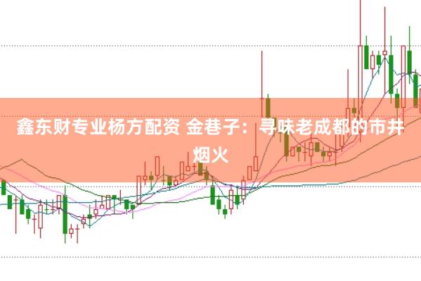 鑫东财专业杨方配资 金巷子：寻味老成都的市井烟火