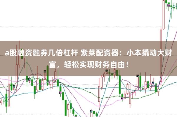 a股融资融券几倍杠杆 紫菜配资器：小本撬动大财富，轻松实现财务自由！