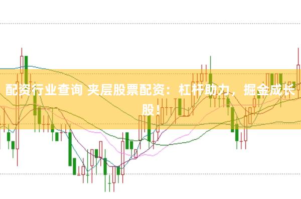 配资行业查询 夹层股票配资：杠杆助力，掘金成长股！