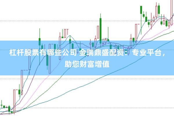 杠杆股票有哪些公司 金瑞鼎盛配资：专业平台，助您财富增值
