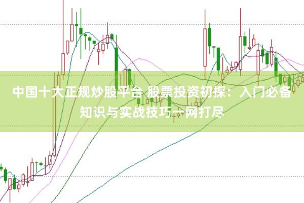 中国十大正规炒股平台 股票投资初探：入门必备知识与实战技巧一网打尽
