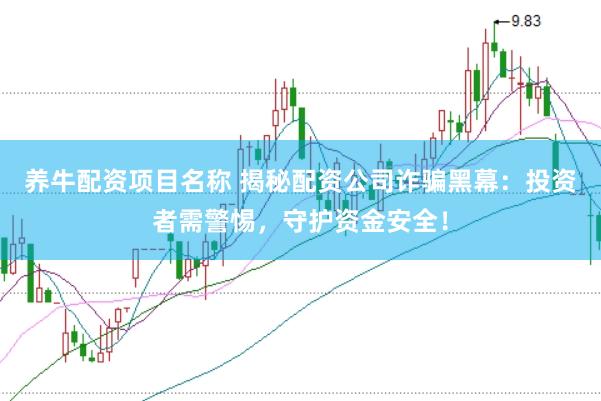 养牛配资项目名称 揭秘配资公司诈骗黑幕：投资者需警惕，守护资金安全！