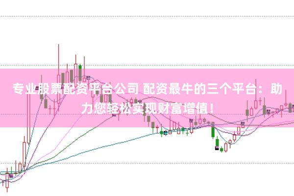 专业股票配资平台公司 配资最牛的三个平台：助力您轻松实现财富增值！