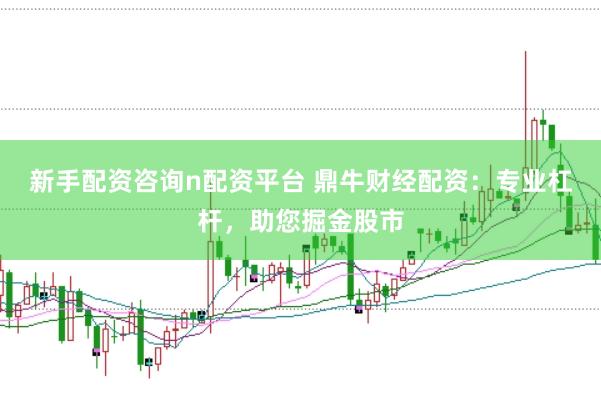 新手配资咨询n配资平台 鼎牛财经配资：专业杠杆，助您掘金股市