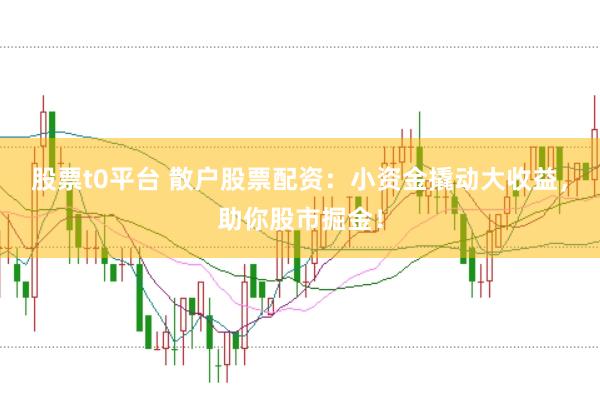 股票t0平台 散户股票配资：小资金撬动大收益，助你股市掘金！