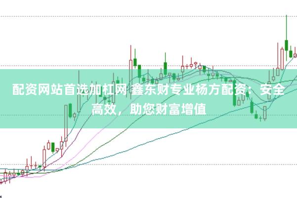 配资网站首选加杠网 鑫东财专业杨方配资：安全高效，助您财富增值