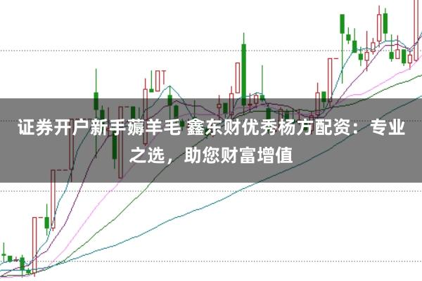 证券开户新手薅羊毛 鑫东财优秀杨方配资：专业之选，助您财富增值