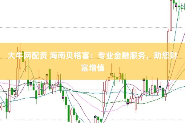 大牛网配资 海南贝格富：专业金融服务，助您财富增值
