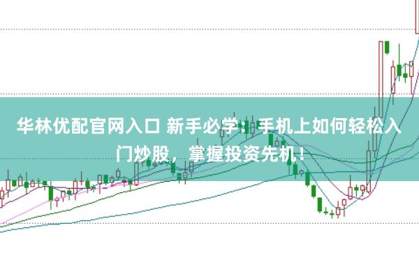 华林优配官网入口 新手必学：手机上如何轻松入门炒股，掌握投资先机！