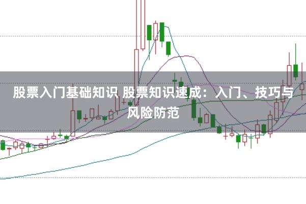 股票入门基础知识 股票知识速成:入门、技巧与风险防范