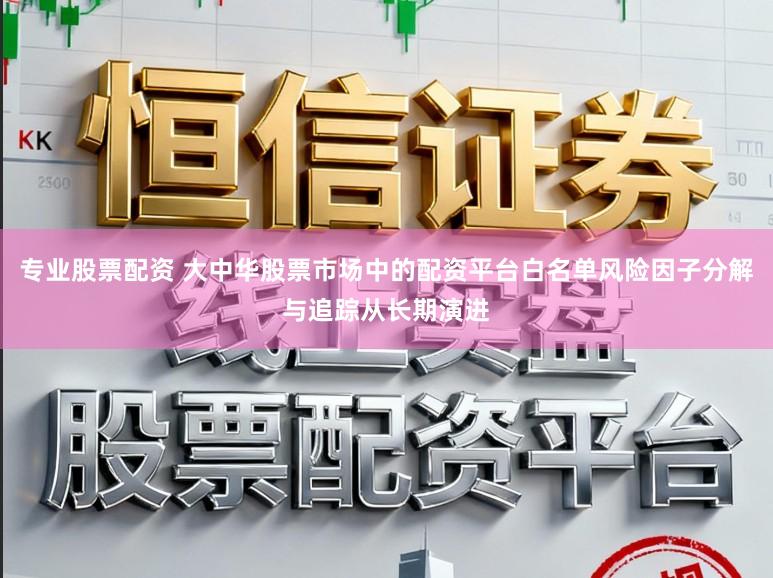 专业股票配资 大中华股票市场中的配资平台白名单风险因子分解与追踪从长期演进